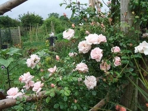 Cross Close House B&B Lostwithiel Kültér fotó